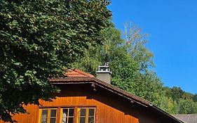 Bio-Schafbauernhof-Kölbel